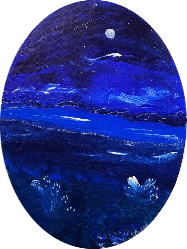 notturno gabriella frustaci 40x30cm tecnica mista su tela [250€]